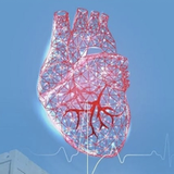 Mastering Rapid Recognition & Management of Chest Pain