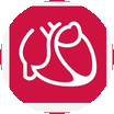 DGK German Cardiac Society
